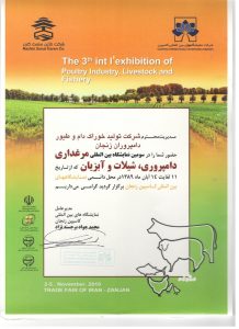 تولید خوراک دام و طیور