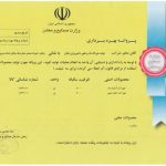 تولید خوراک دام